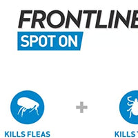 Frontline - Spot On Dog - 10 to 20kg - 1 Pipette
