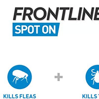 Frontline - Spot On Large Dog - 20 to 40kg - 1 Pipette
