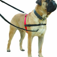 Halti - Harness - Black - Small