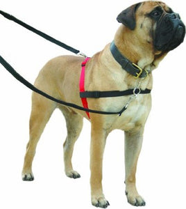 Halti - Harness - Black - Small