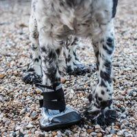Mikki - Dog Boot - Size 3