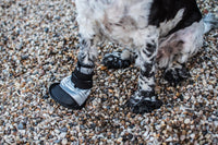 Mikki - Dog Boot - Size 4