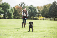 Interpet - Recall Training Lead - Black - 6ft