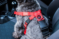 Mikki - Car Harness - Small