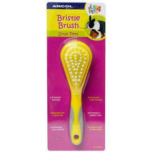 Ancol - Small Animal Bristle Brush