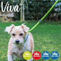 Ancol - Viva Refective Rope Slip Lead - Raspberry - 150cm x 12mm (max 50kg)
