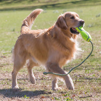 Kong - Air Kong Fetch Stick With Rope - Large