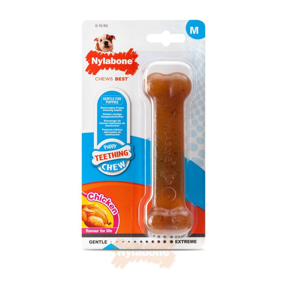 Nylabone - Puppy Bone - Chicken - Medium