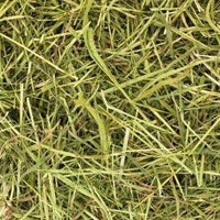 ReadiGrass - Friendly Timothy Hay - 1kg