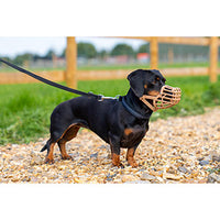 Company of Animals - Baskerville Dog Muzzle - Size 10