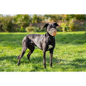 Company of Animals - Baskerville Dog Muzzle - Size 5