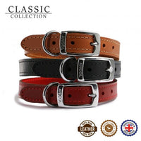 Ancol - Classic Leather Collar - Black - 14" (Size 2)