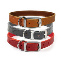 Ancol - Leather Collar - Red - (22")