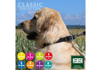 Ancol - Classic Leather Collar - Tan - (24")
