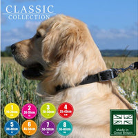 Ancol - Classic Leather Collar - Tan - (24")