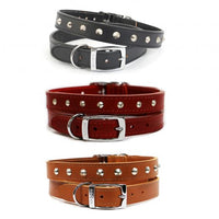 Ancol - Leather Colar Studded - Black - Size 3 (16")