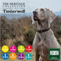 Ancol - Timberwolf Leather Collar - Blue - Size 7 (50-59cm)