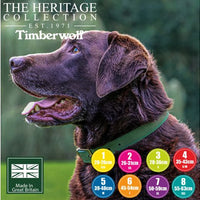 Ancol - Timberwolf Leather Collar - Green - 26-31cm (Size 2)