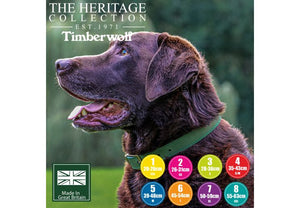Ancol - Timberwolf Leather Collar - Green - 26-31cm (Size 2)