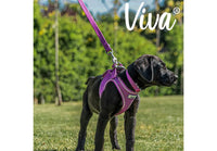 Ancol - Viva Nylon Padded Snap Lead - Pink - 100cm x 19mm (Max 50kg)