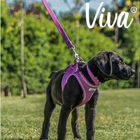 Ancol - Viva Padded Lead - Red - 1.2X100CM (20kg)