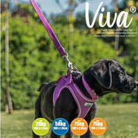 Ancol - Viva Padded Snap Lead - Lime - 1mX12mm