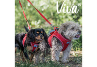 Ancol - Viva Padded Lead - Red - 1.2X100CM (20kg)
