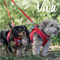 Ancol - Viva Padded Lead - Red - 1.2X100CM (20kg)