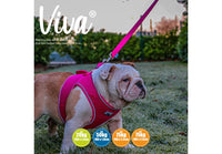 Ancol - Viva Nylon Padded Snap Lead - Pink - 180cm x 25mm (Max 75Kg)