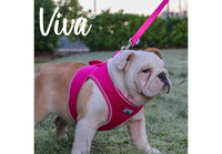 Ancol - Viva Padded Lead - Red - 1.2X100CM (20kg)
