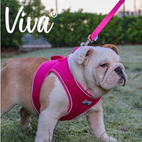 Ancol - Viva Padded Lead - Red - 1.2X100CM (20kg)