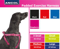 Ancol - Padded Harness - Red - X Large (8-9)