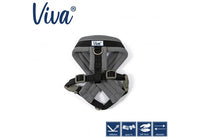 Ancol - Viva Nylon Padded Harness - Cyan - XLarge (70-98cm)