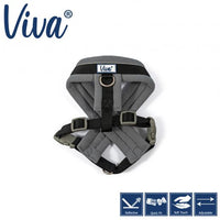 Ancol - Viva Padded Harness - Lime - Small (36-42cm)