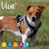 Ancol - Viva Padded Harness - Lime - Small (36-42cm)