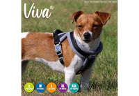 Ancol - Viva Nylon Padded Harness - Lime - XLarge (70-98cm)