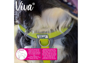 Ancol - Viva Padded Harness - Lime - Small (36-42cm)