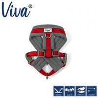 Ancol - Viva Padded Harness - Lime - Small (36-42cm)