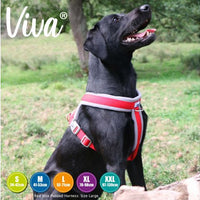 Ancol - Viva Padded Harness - Lime - Small (36-42cm)