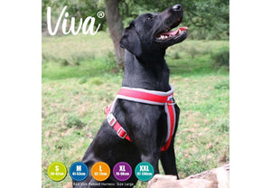 Ancol - Viva Padded Harness - Lime - Small (36-42cm)