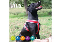 Ancol - Viva Nylon Padded Harness - Lime - XLarge (70-98cm)