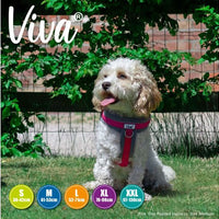 Ancol - Viva Padded Harness - Lime - Small (36-42cm)