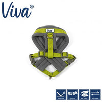 Ancol - Viva Padded Harness - Lime - Small (36-42cm)