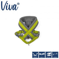 Ancol - Viva Padded Harness - Lime - Small (36-42cm)
