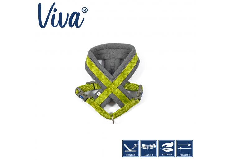 Ancol - Viva Padded Harness - Lime - Small (36-42cm)