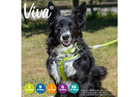 Ancol - Viva Nylon Padded Harness - Lime - XLarge (70-98cm)