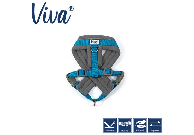Ancol - Viva Padded Harness - Cyan - Medium (41-53cm)