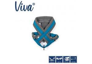 Ancol - Viva Padded Harness - Lime - Small (36-42cm)