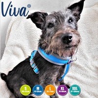 Ancol - Viva Padded Harness - Lime - XLarge (70-98cm)