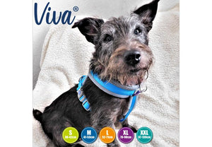 Ancol - Viva Padded Harness - Lime - Small (36-42cm)